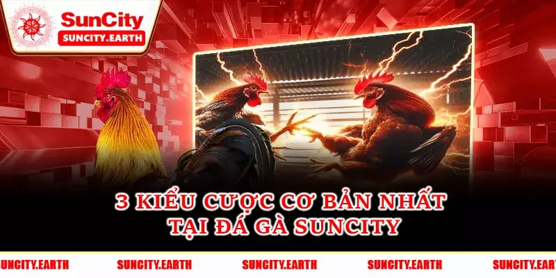 Thắng - Hoà - Thua là kiểu cược cơ bản nhất