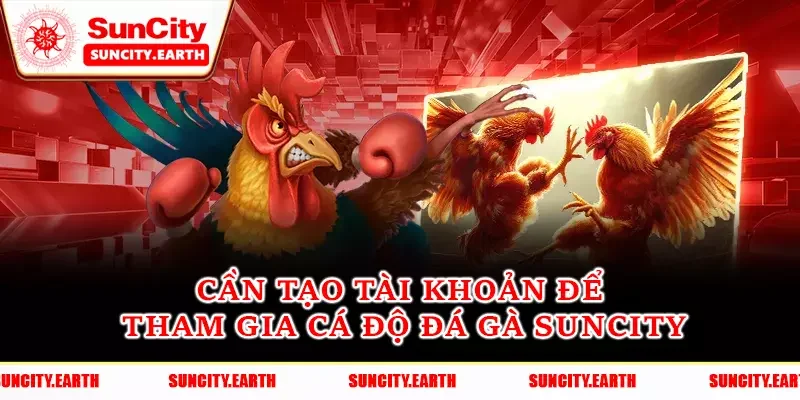 Cần tạo tài khoản để tham gia cá độ đá gà Suncity