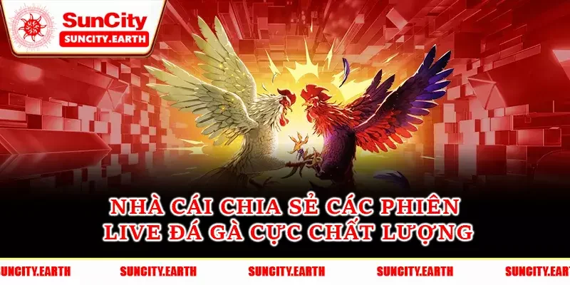 Nhà cái chia sẻ các phiên live đá gà cực chất lượng
