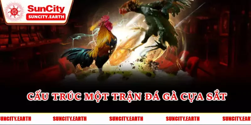 Sơ lược cấu trúc một trận đá gà cựa sắt