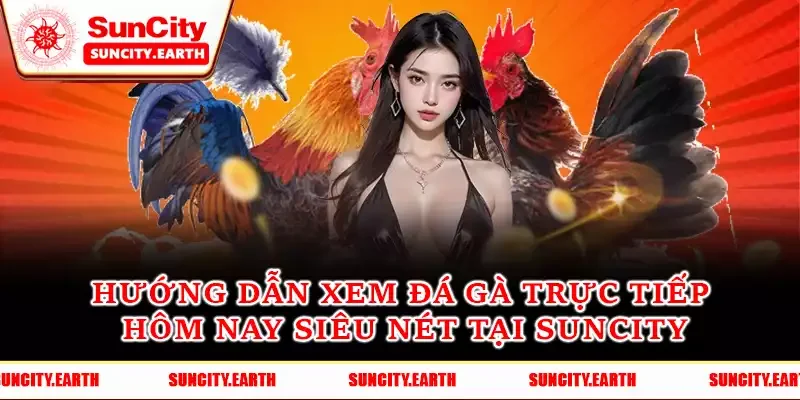 Hướng Dẫn Xem Đá Gà Trực Tiếp Hôm Nay siêu Nét Tại Suncity