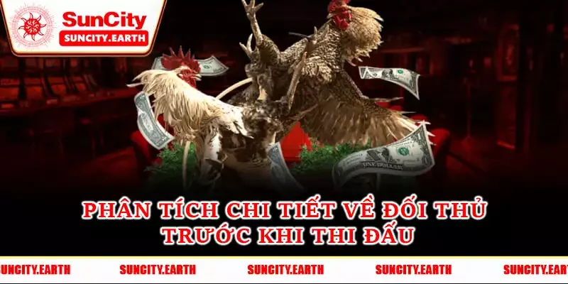 Phân tích chi tiết về đối thủ trước khi thi đấu