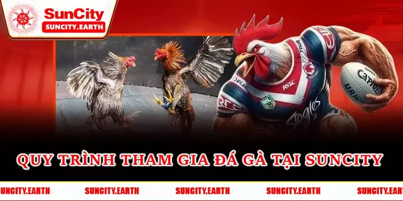 Quy trình tham gia đá gà tại Suncity