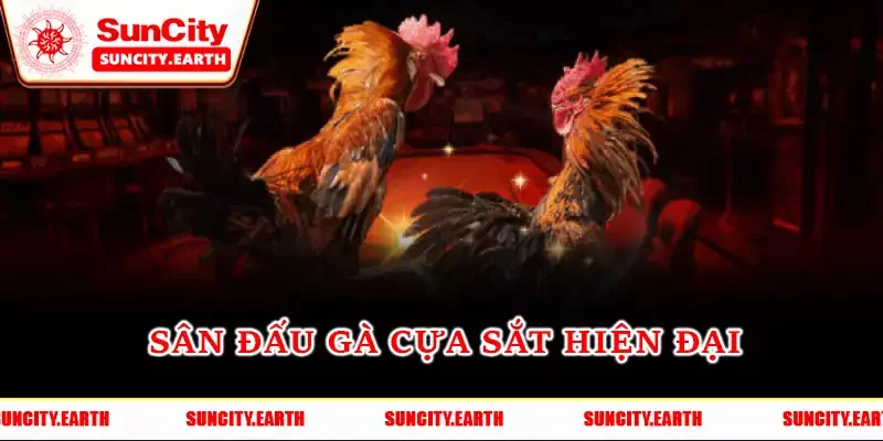 Sân đấu gà cựa sắt hiện đại